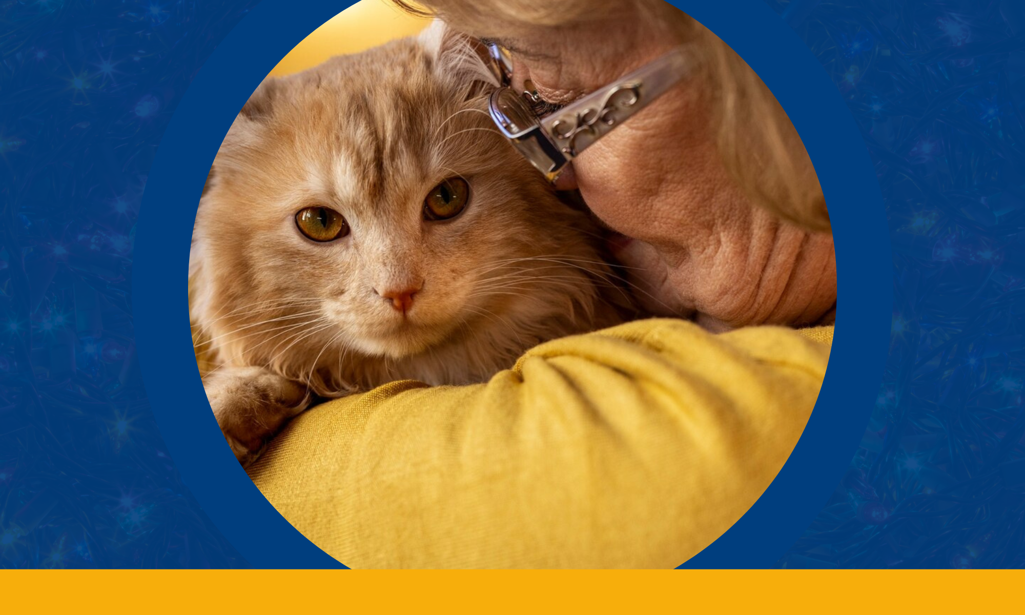 The Heartwarming Effects of Pet Therapy for Seniors